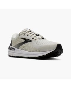 Men's Brooks Addiction 15 Vaporous Grey / Black