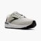 Men's Brooks Addiction 15 Vaporous Grey / Black