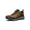 Men's Keen Targhee IV Waterproof Sea Turtle / Roasted Pecan