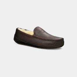 mens-ugg-ascot-dark-spice-5379  display picture 2