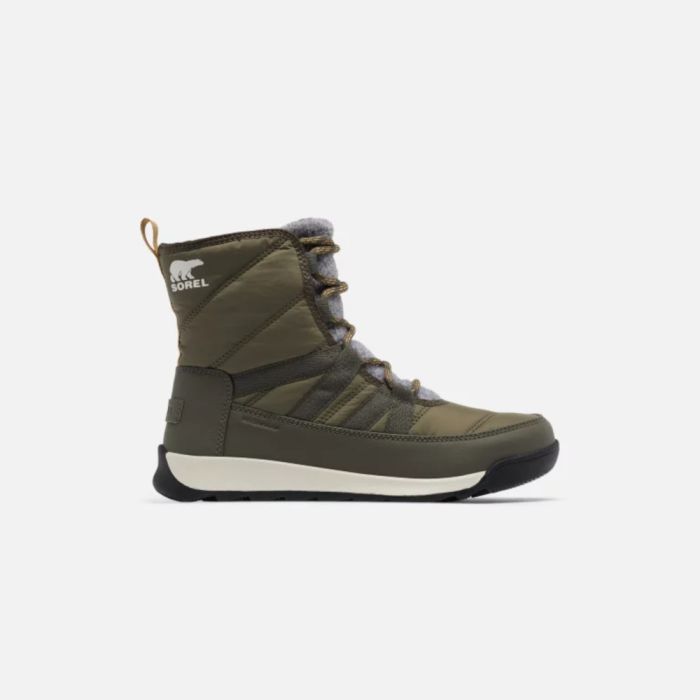 Buy Women's Sorel Whitney™ II Short Lace Stone Green / Black